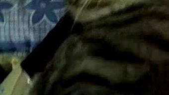 国产九爱视频免费看,国产免费观影新体验