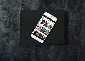 国产积木视频好看app,好看App带你领略创意无限