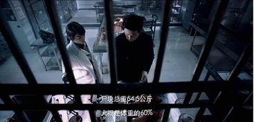 精彩的国产视频,国产视频中的时代印记与艺术魅力