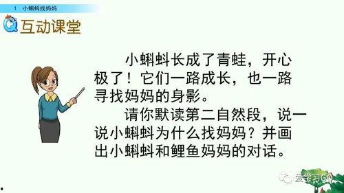国产在线小蝌蚪视频网站,揭秘国内热门视频网站的独特魅力