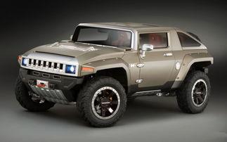 国产小悍马车视频