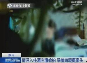 情侣合居视频在线看国产