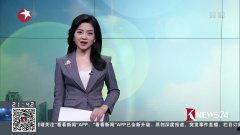 国产风吟鸟唱视频在线  第3张
